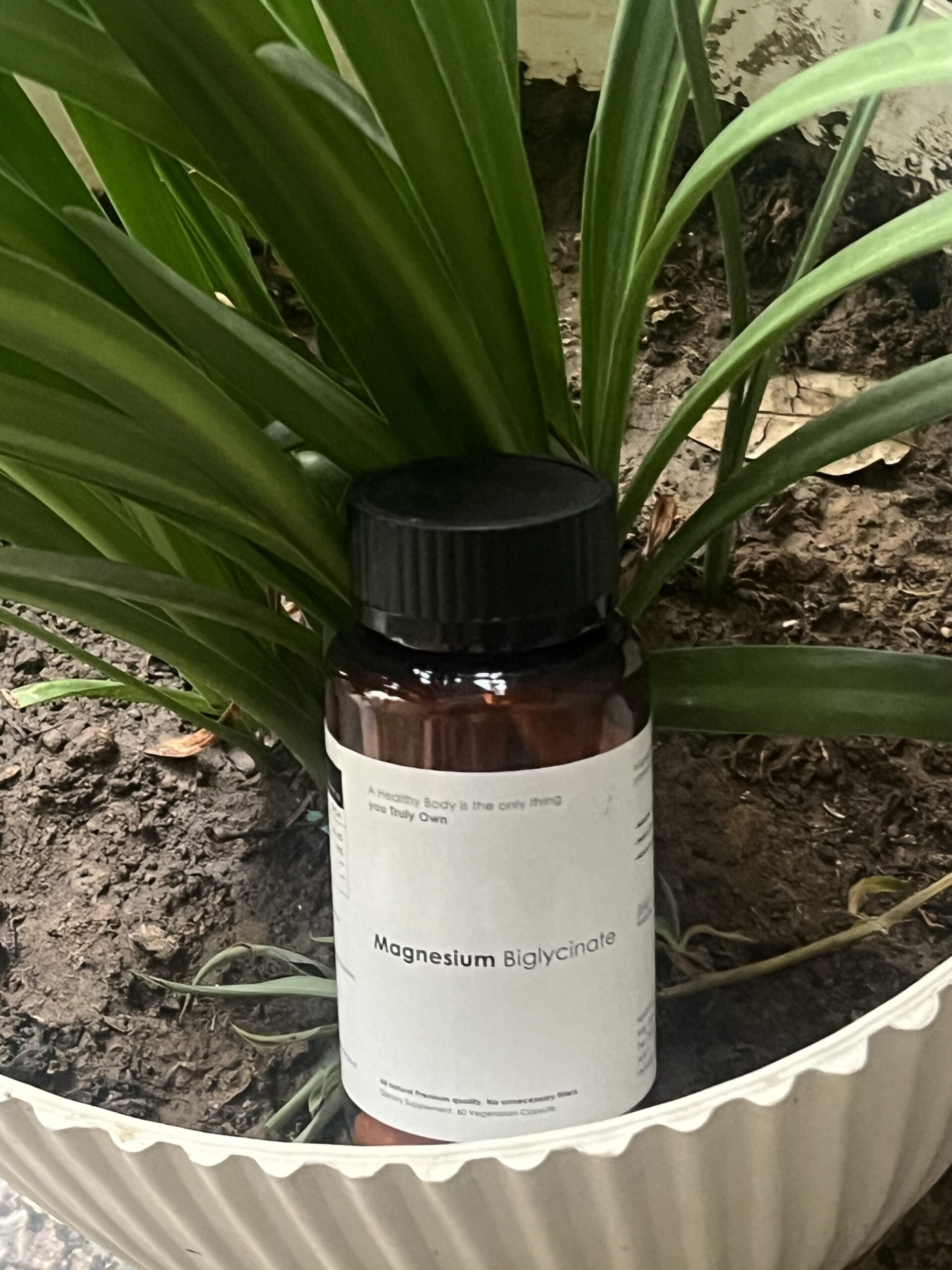 Magnesium Biglycinate - Image 2