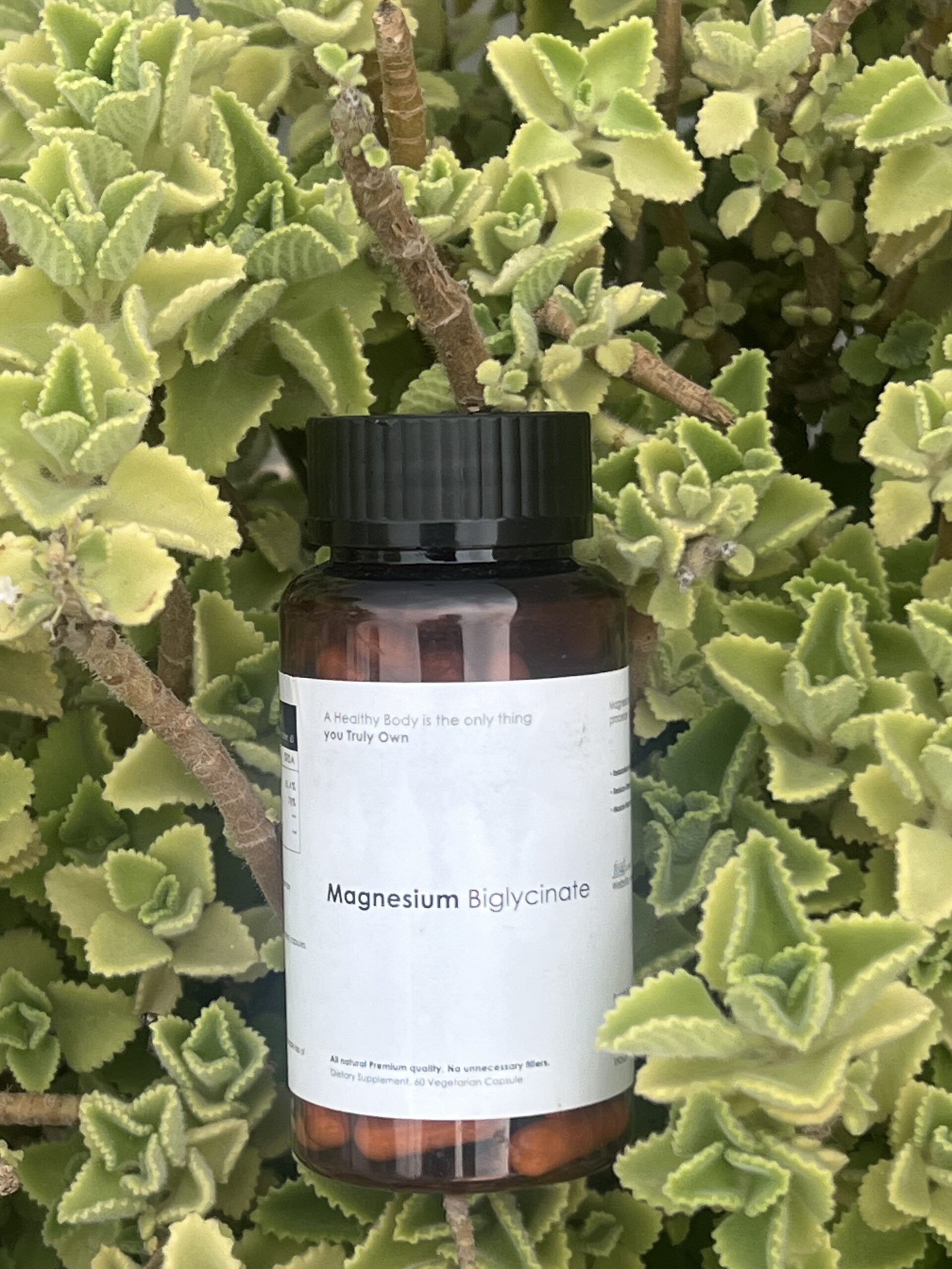 Magnesium Biglycinate - Image 3